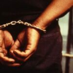 Siblings remanded over alleged missing penis